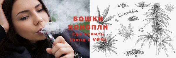 соль ск Балахна